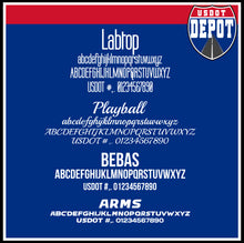 Load image into Gallery viewer, Transport Company Door Decal with USDOT, MC, CA, KYU & TXDOT Lettering (2-Pack)